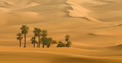 Sanddünen in der Sahara Sanddünen in der Sahara