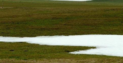 Reste von Schnee auf einer Wiese Reste von Schnee auf einer Wiese