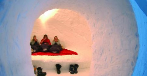 iglu dapd iglu dapd