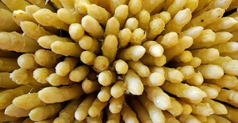 Spargel Spargel