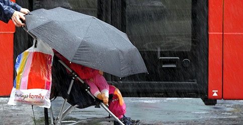Regenschirm Regenschirm