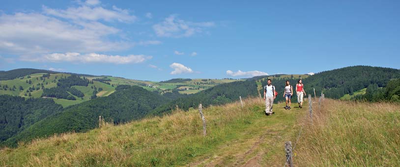 schwarzwald